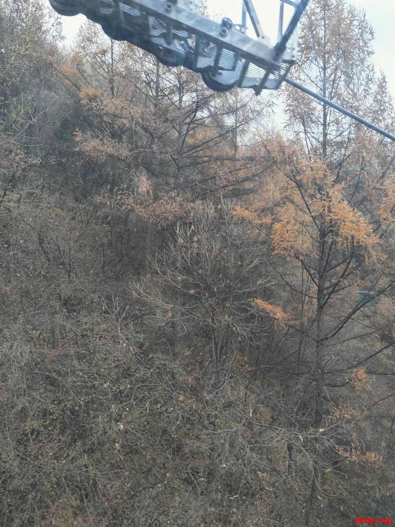 洛阳老君山 (6)